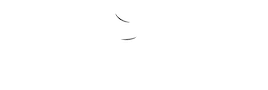 Roma Party Service